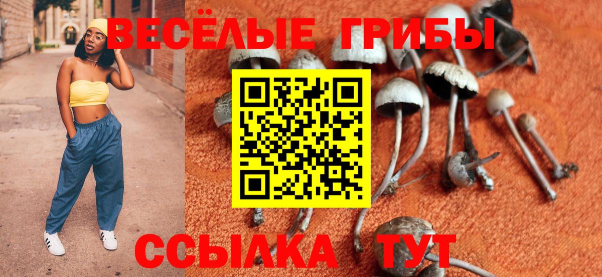 Галлюциногенные грибы мицелий  Вход с VPN  Галлюциногенные грибы MAGIC MUSHROOMS  Обнинск 